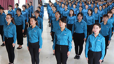 �𱬾W(w��ng)��Ӣ�F(tu��n)�(du��)