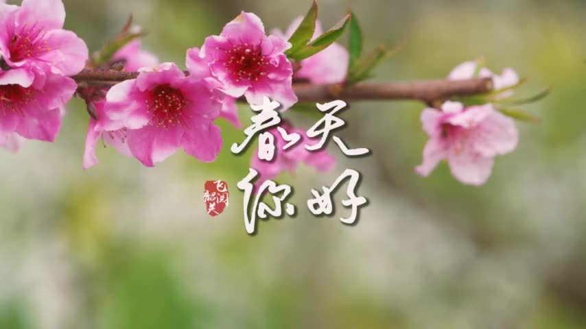 你好，韶關(guān)