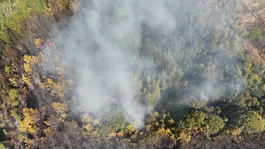 又起山火！又是祭祖時發(fā)生！韶關(guān)兩名村民被帶走