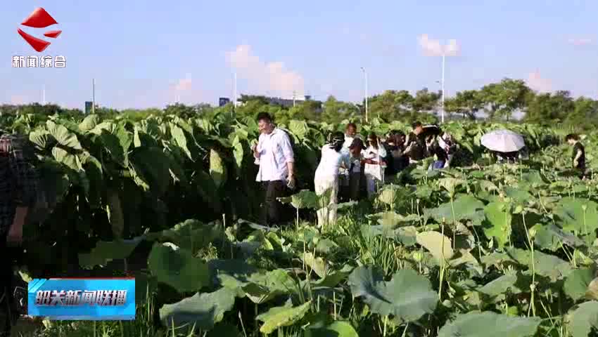 中外師生走進韶關(guān)開展“感知中國 雙百有我”文化交流活動