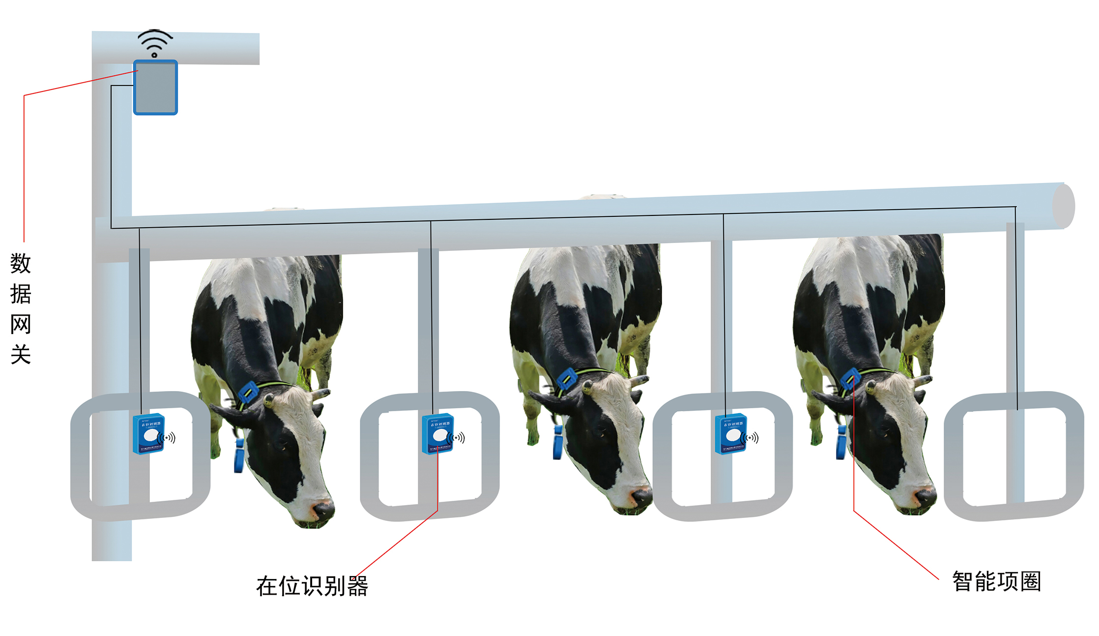 牛只在位識(shí)別系統(tǒng)V1-1.jpg